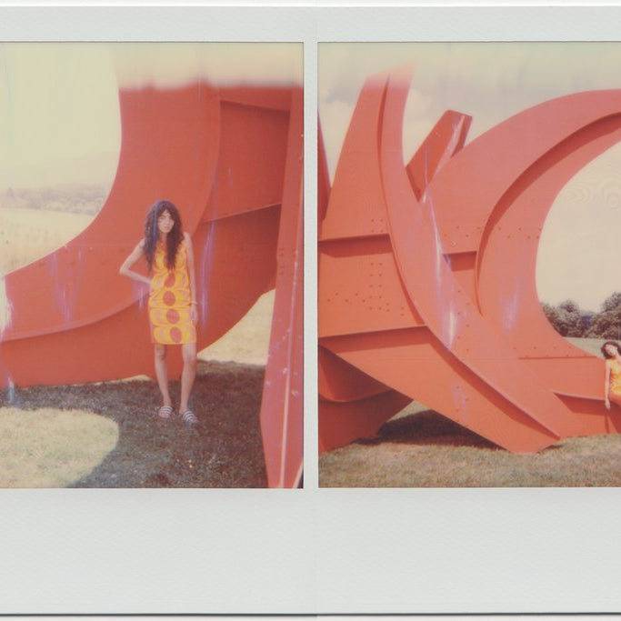 polaroid diptych of aisha gunnell in front of alexander calder statue. 