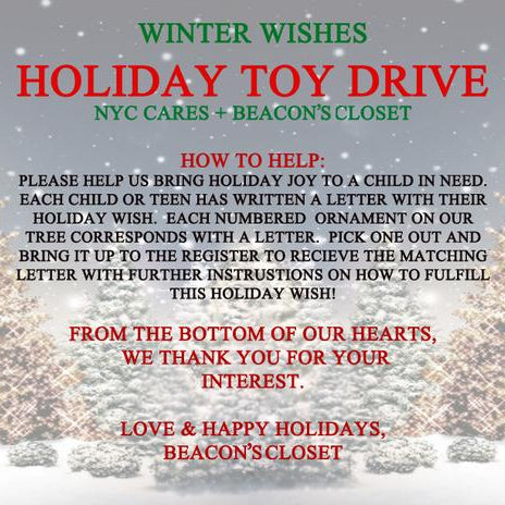 winter wishes holiday toy drive