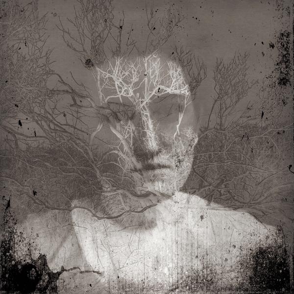 double exposure portrait of face and bare trees. 