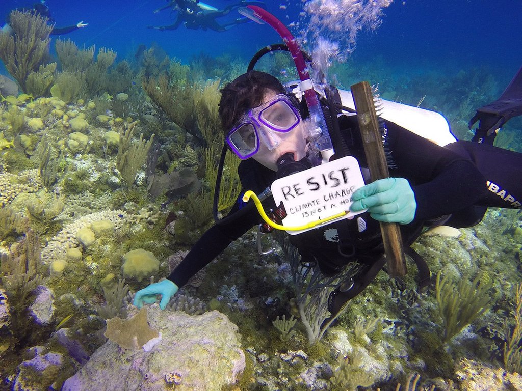 a person under the ocean holding a sign that says 'resist, climate change is not a hoax'.