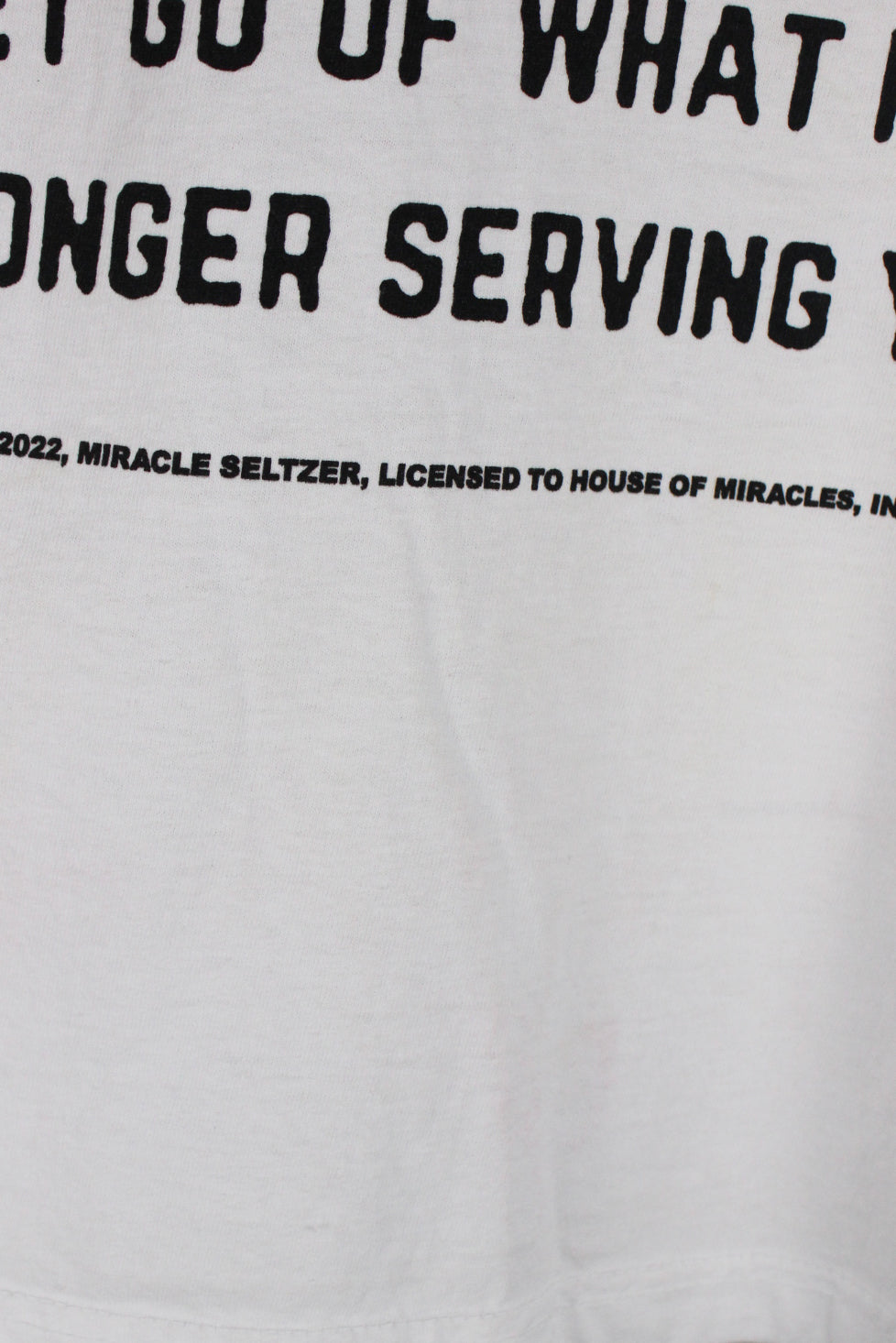 detail view of small mark below graphic at front of shirt.