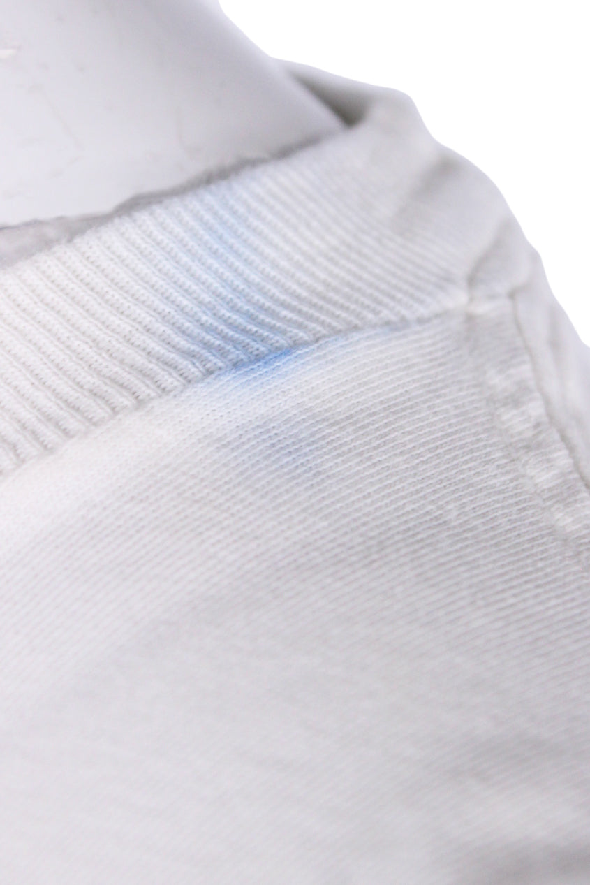 detail of blue stain at left collar. 