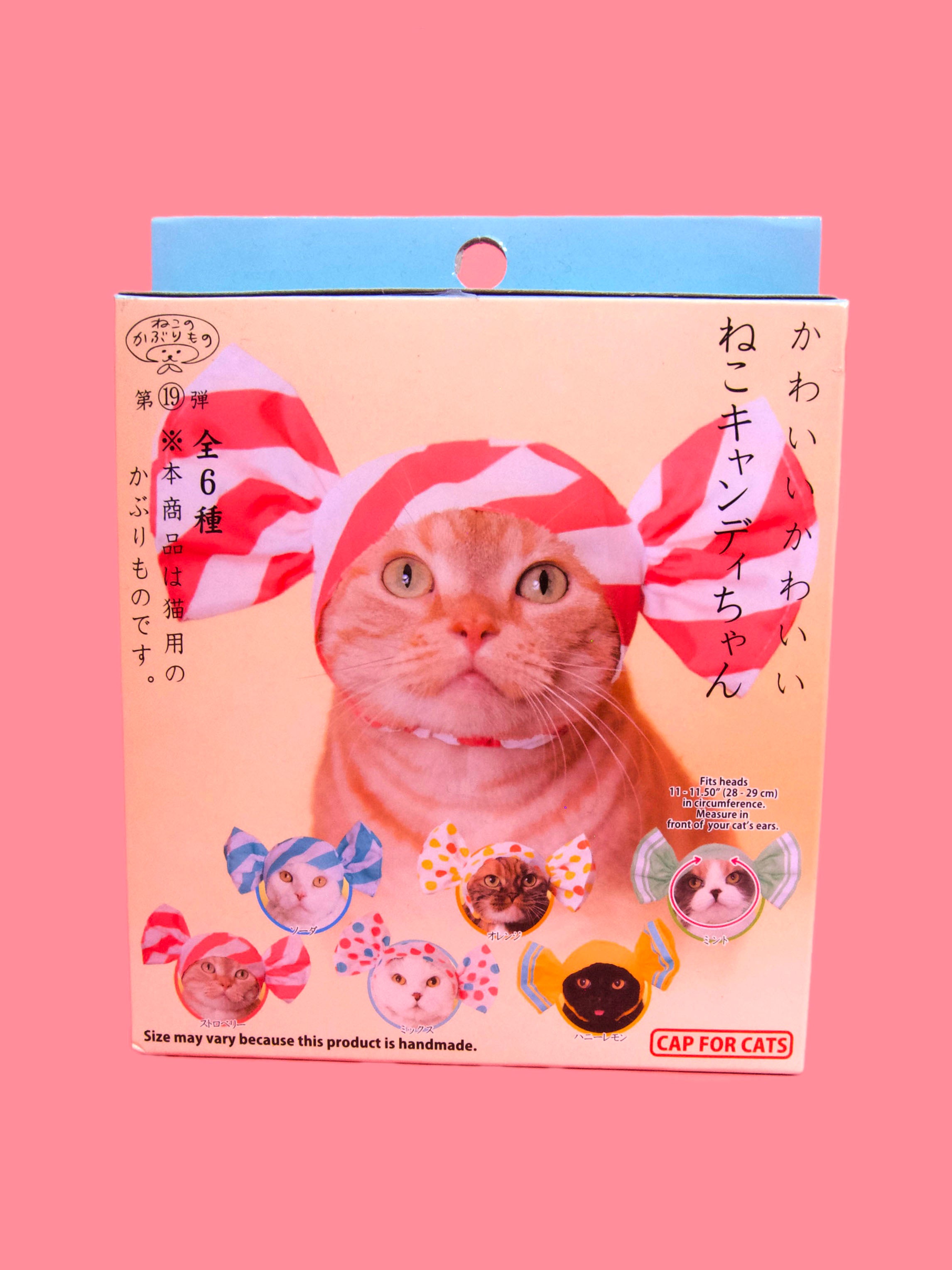 front of product box for cat novelty bow hat