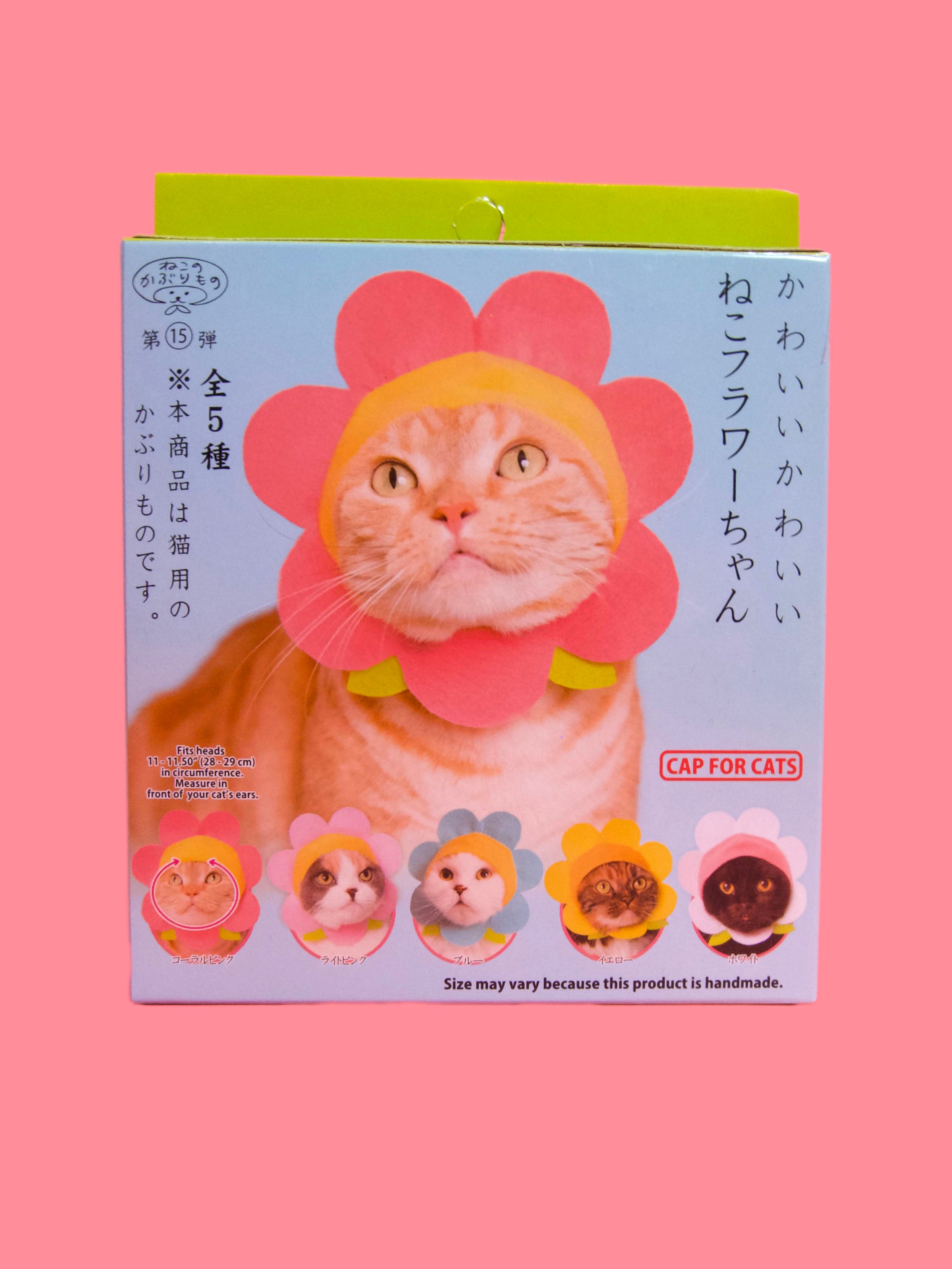 product shot of front of box, novelty headware for cats floral style. 