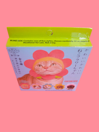 top view of novelty cat headware product box