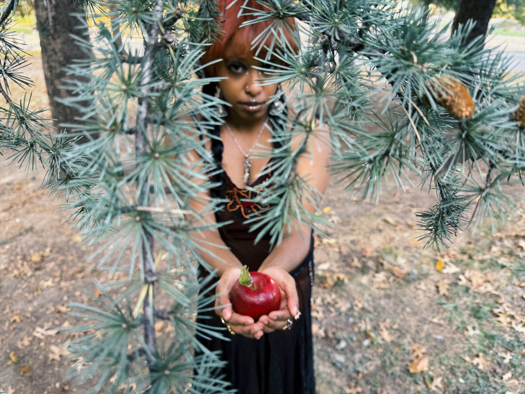 editorial shot of woman holding apple under tree branch