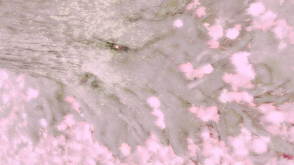 animated gif of abstract apple images fading in and out. With model posing with apple in different shots also fading in and out.